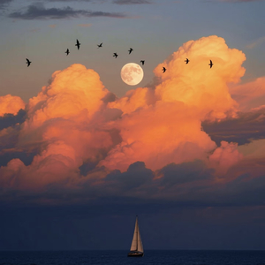 故事的温柔与蓄谋