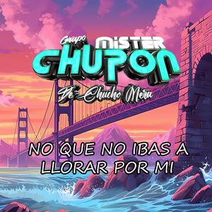 No que no ibas a llorar por mi