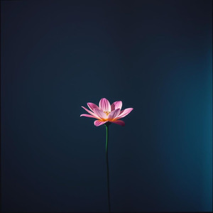 生きてるだけでありがとう　君の存在が希望になる