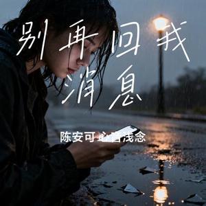 别再回我消息