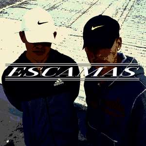Escamas