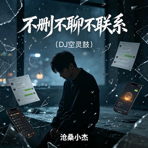 不删不聊不联系（DJ空灵鼓）