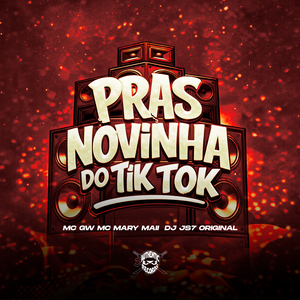 Pras Novinha do Tik Tok