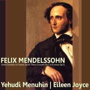 Violin Concerto in E Minor, Op. 64: I. Allegro molto appassionato