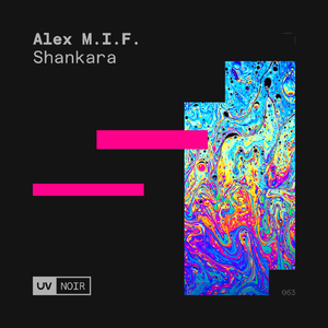 Shankara (Extended Mix)
