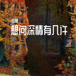 想问深情有几许（音乐抢先听）预告段落
