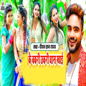 Ke Bakari Chakari Ghaas Khai