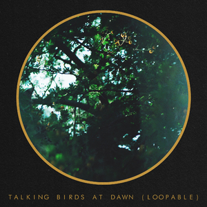 Talking Birds at Dawn