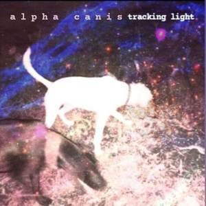 Tracking Light