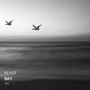 Never Say