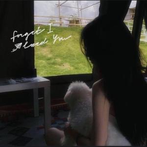 Forget I Loved You