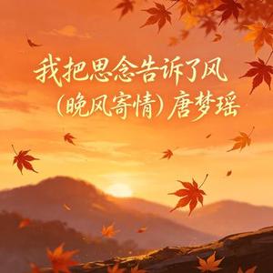 我把思念告诉了风