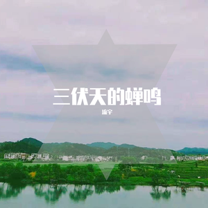 三伏天的蝉鸣