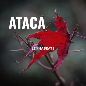 Ataca