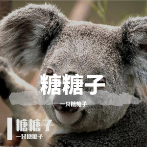 雨中的恋人（翻自 黄凯芹）