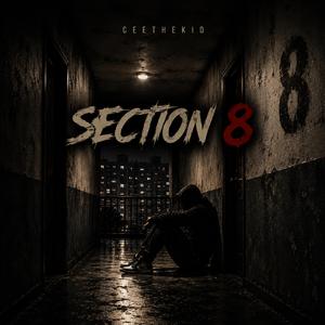 Section 8