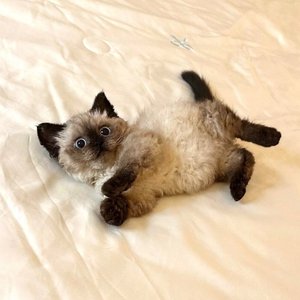 回忆快手的时光