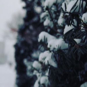 月が隠すうちに後悔しよう。 (feat. 可不)