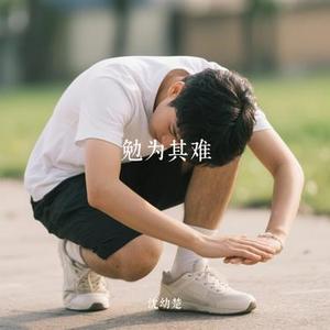 勉为其难 (Cover 王冕)