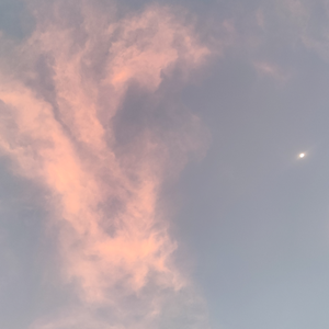 这一生关于你的风景