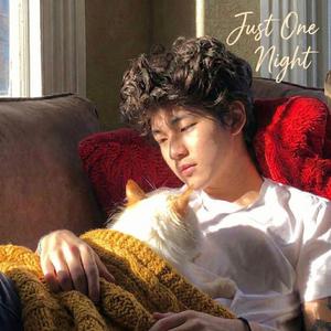 แค่คืนเดียว