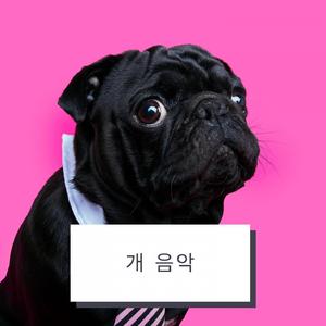 편안한 개 음악