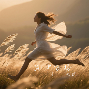 风中飞扬