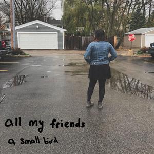 All My Friends (feat. Nick Navari)