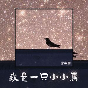 我是一只小小鸟(Live)