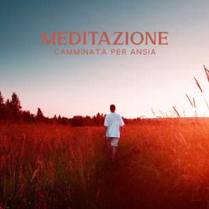 Alla ricerca dell'armonia