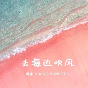 去海边吹风