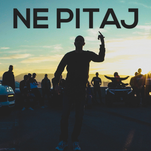 Ne pitaj