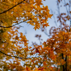 在那些平淡的日子里