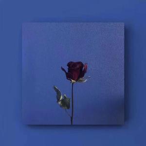 还是没说再见（prod by.RedRum music）