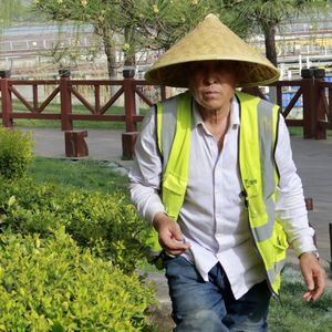 《竖琴与钢琴编织的睡前谧境》