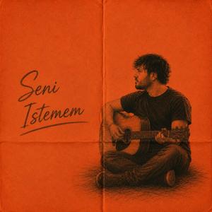 Seni İstemem