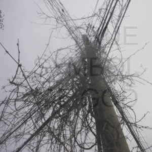 TRUE SYMBOL OF GOD (long) [feat. Kaho Matsui]