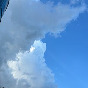 你的答案-小自在(1)