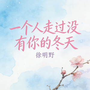 一个人走过没有你的冬天