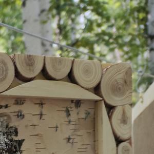 生活要乐在其中