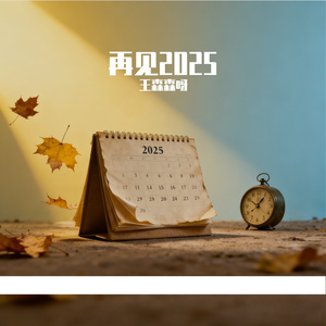 2025我没赚到钱(#百万奖金AI创作大赛+主题一)