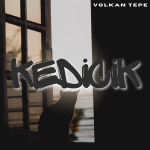 Kedicik