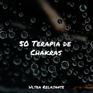 Chakra Equilibrado