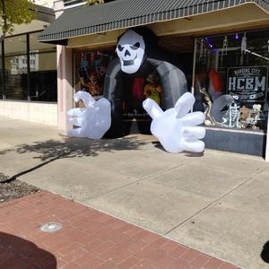 Halloween (i only came to fly)