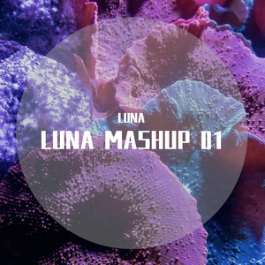 F.I.R.-TURN UP THE 我们的爱 （Luna Mashup)（LUNA remix）