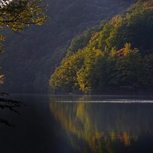 故乡的月光（八音盒）