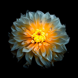 当你孤单会想起谁