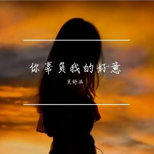 你辜负我的好意