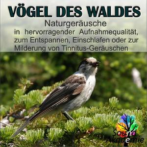 Vogelgesang auf einem Feld