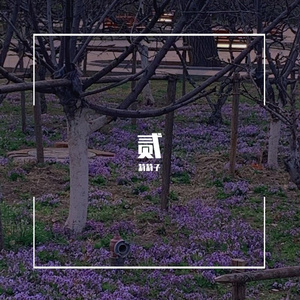 礼物（翻唱）（翻自 刘力扬）